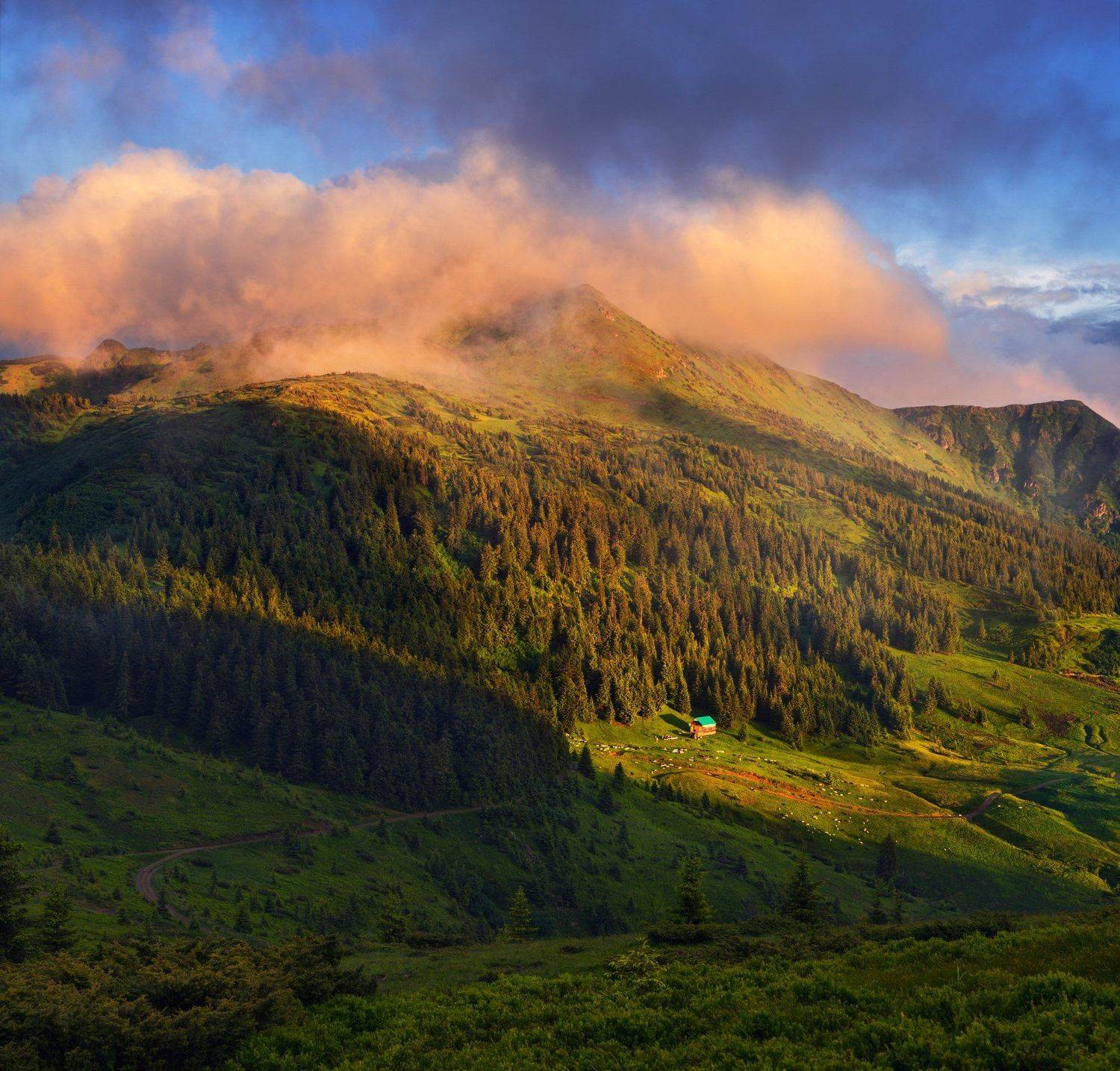 украина, карпаты, горы, мармаросы, поп иван, Зинченко Роман