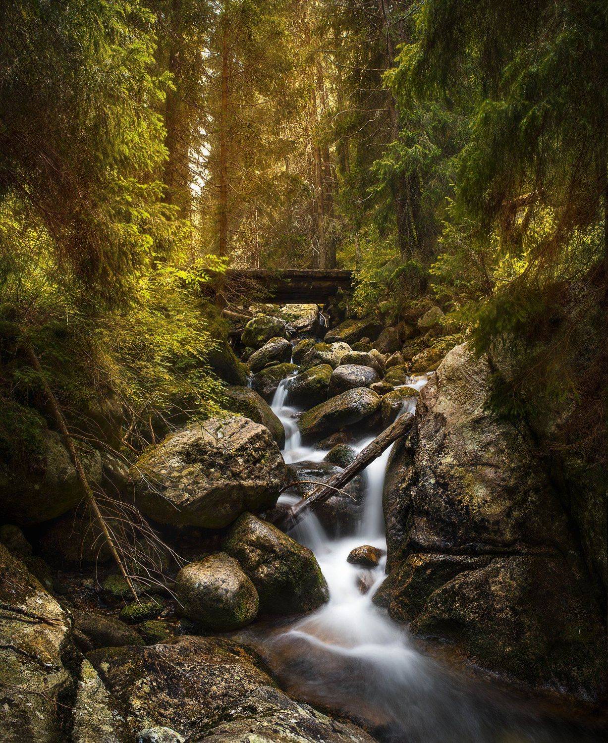 , Борислав Попов