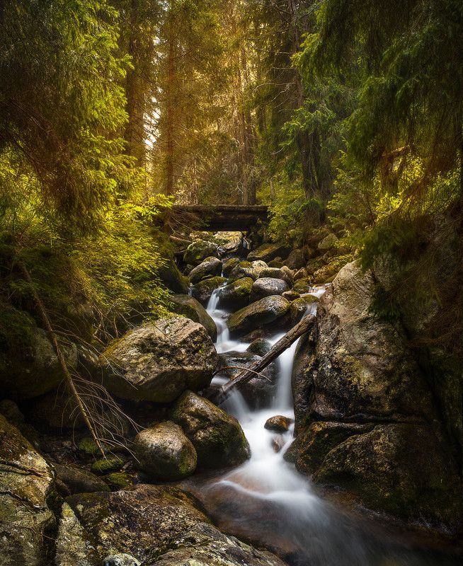 Приказно ручейче фото превью