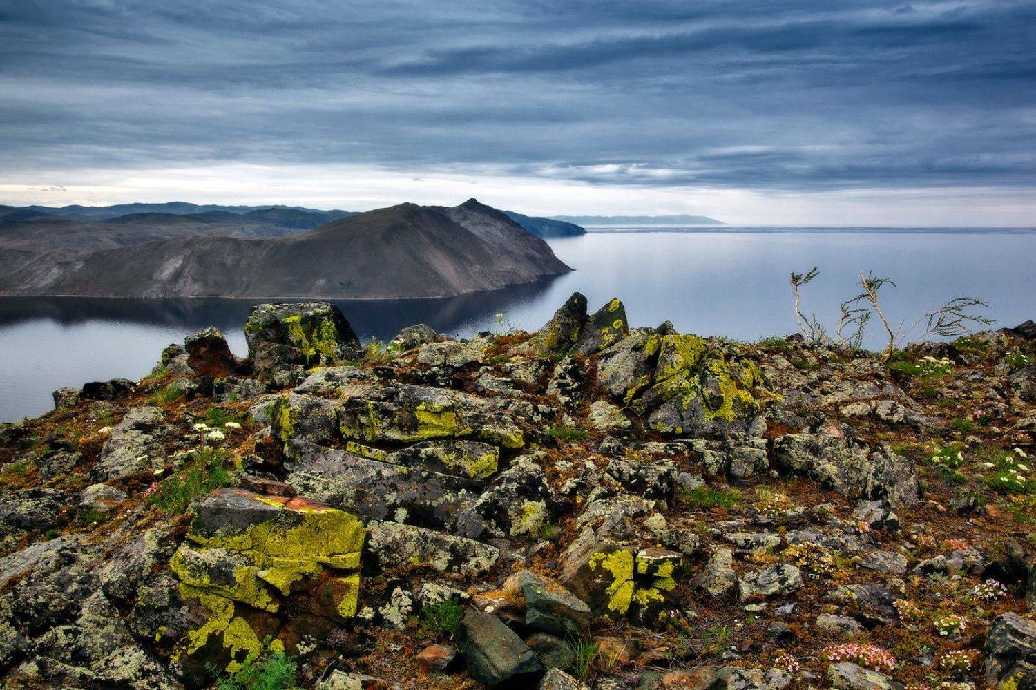 , Сергей Низовцев