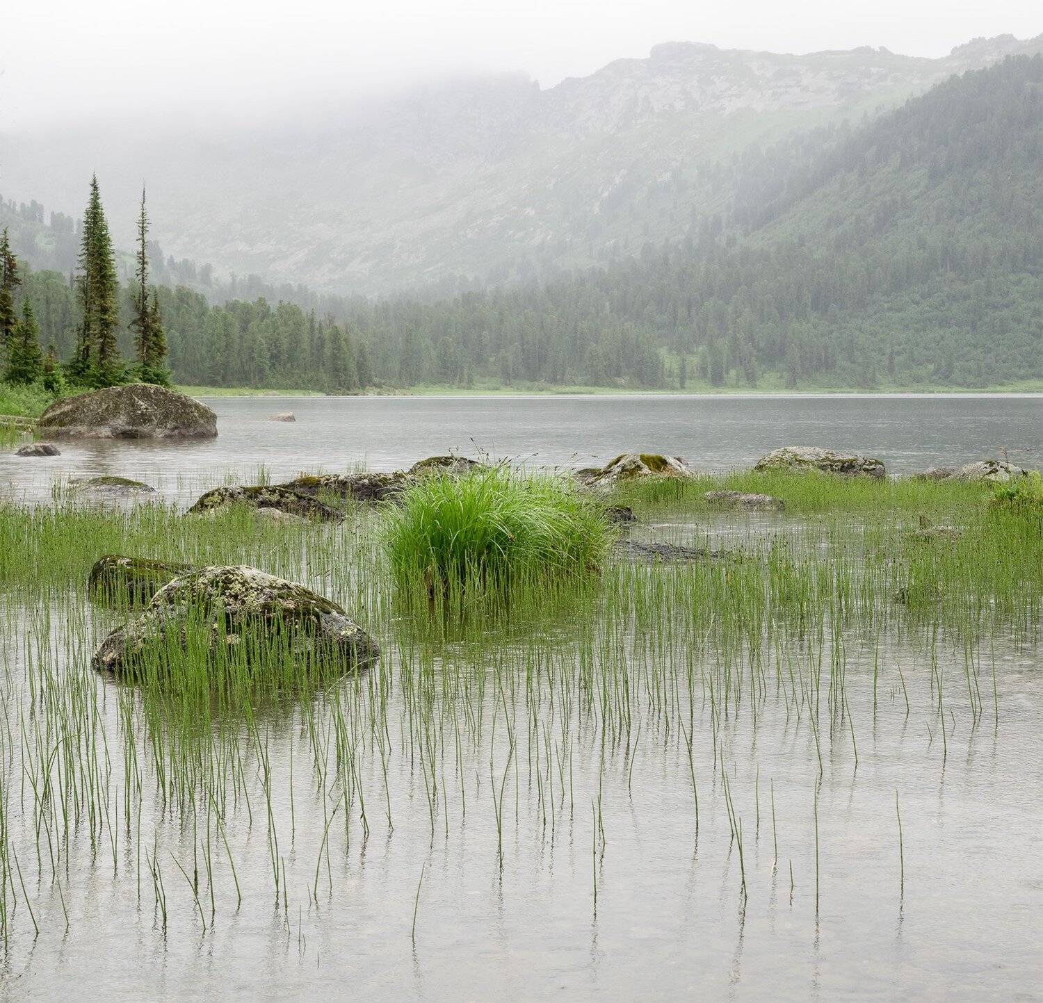 , Лещёнок Александр