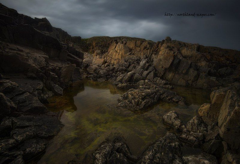 Побережье Баренцево моря, Кольский полуостров,  После дождя фото превью