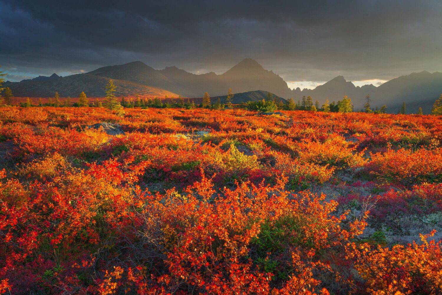 озеро Джека Лондона, Колыма, Владимир Рябков