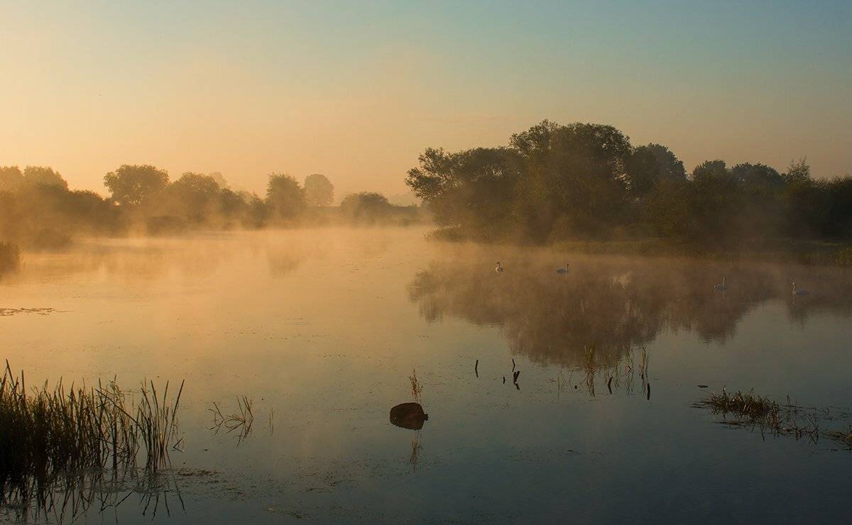 , Pawel Plucinski