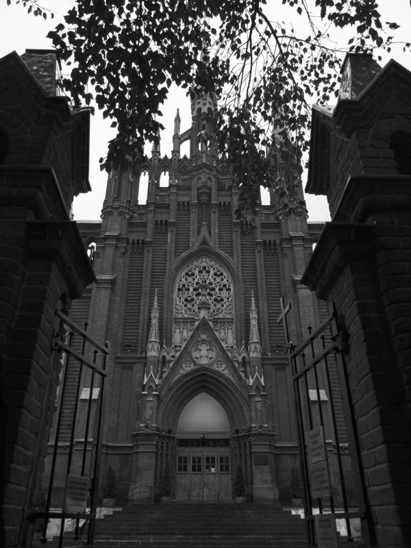 *** фото превью