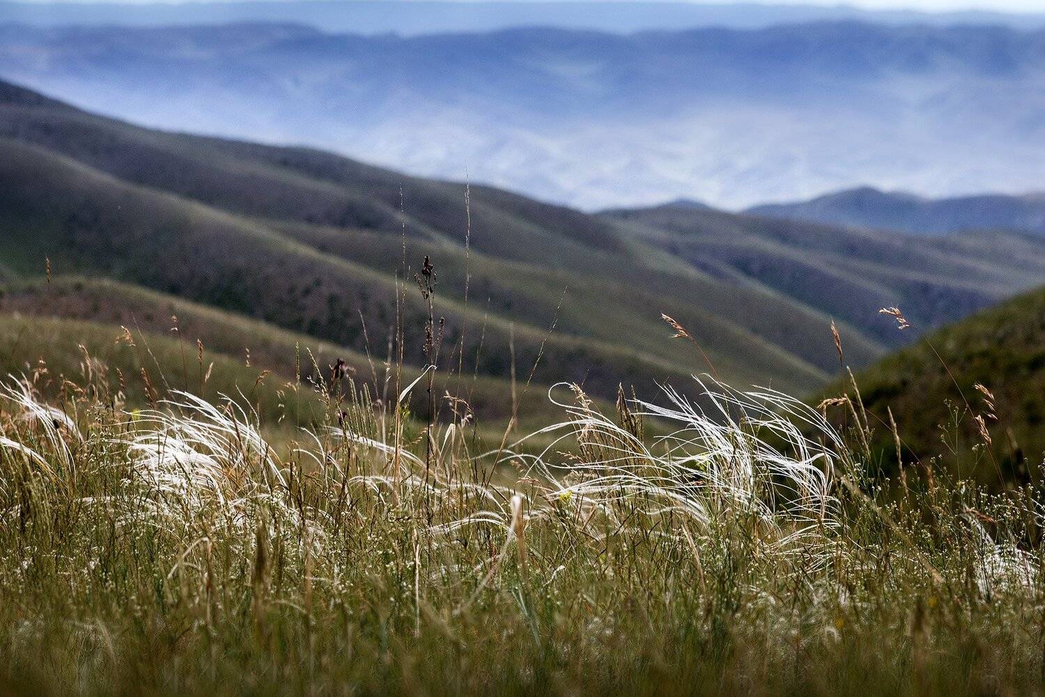 , Качурин Алексей