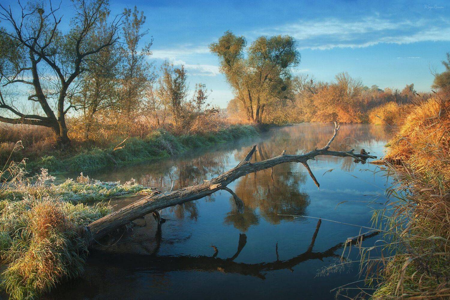 осень,утро,берег,река,камыш, Roma  Chitinskiy