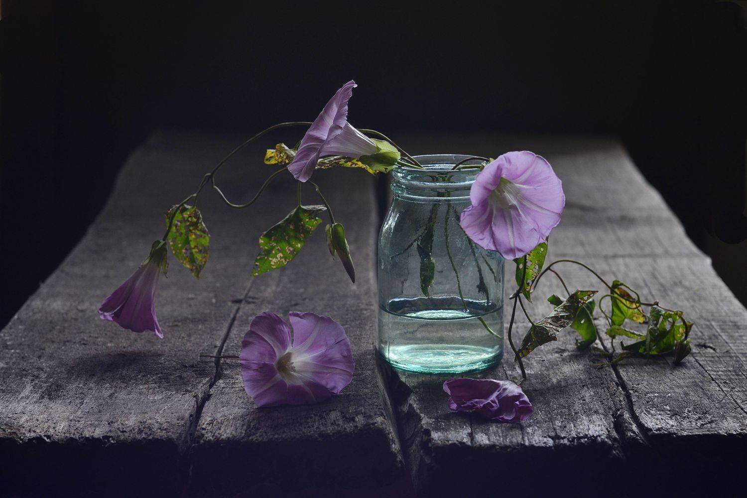 , Оксана Евкодимова