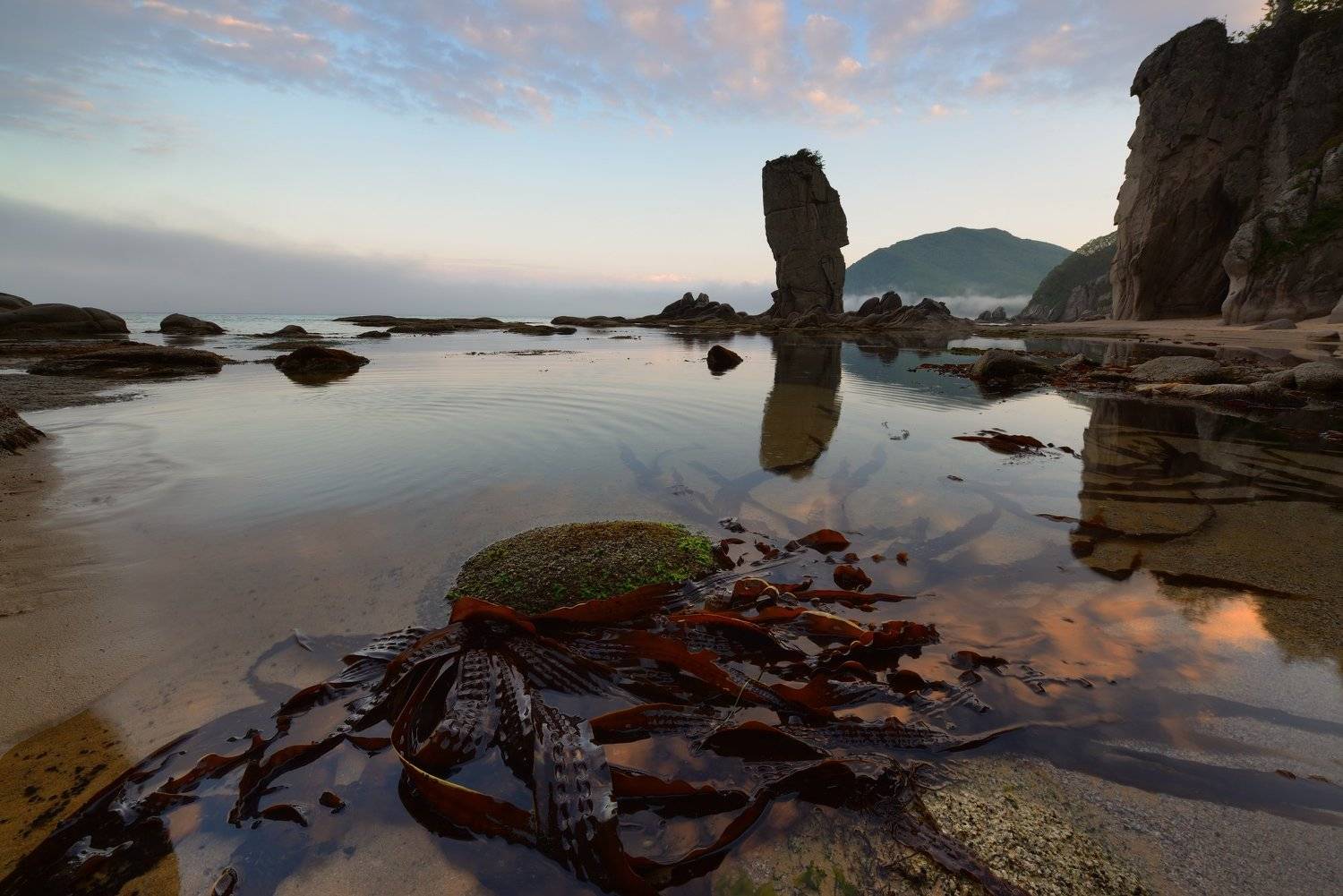 , Максим Евдокимов (www.wildphotorus.ru)