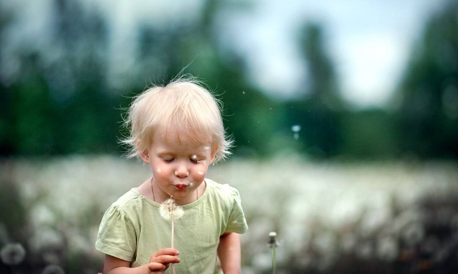 , Елена Силина