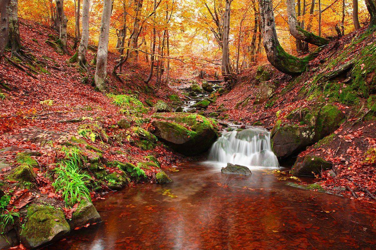 , Виталий Ра