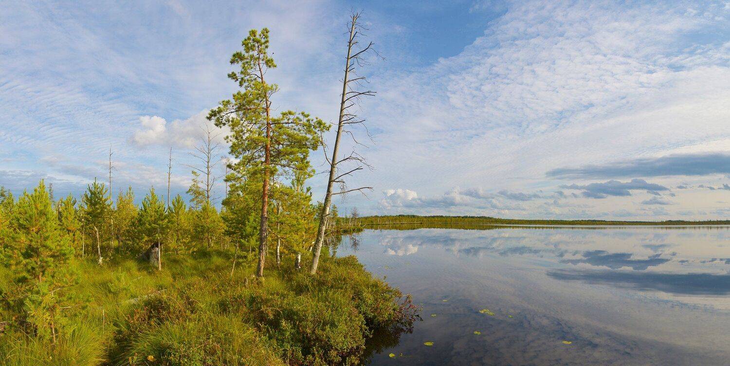 , Сергей Седов