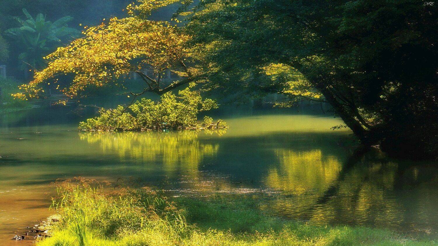 , Евгений Никишин