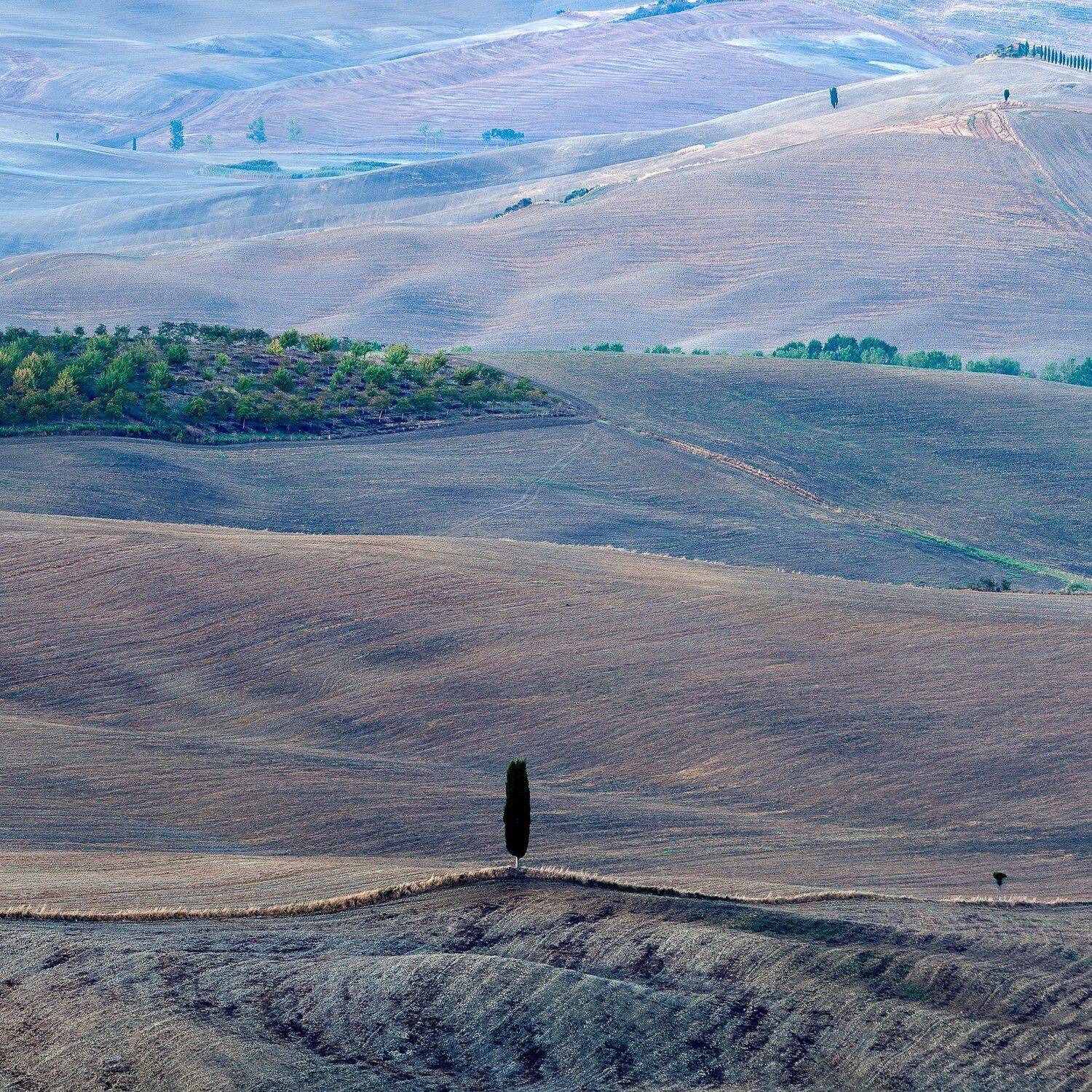 Italy, Tuscany, Pienza,, Igor Sokolovsky