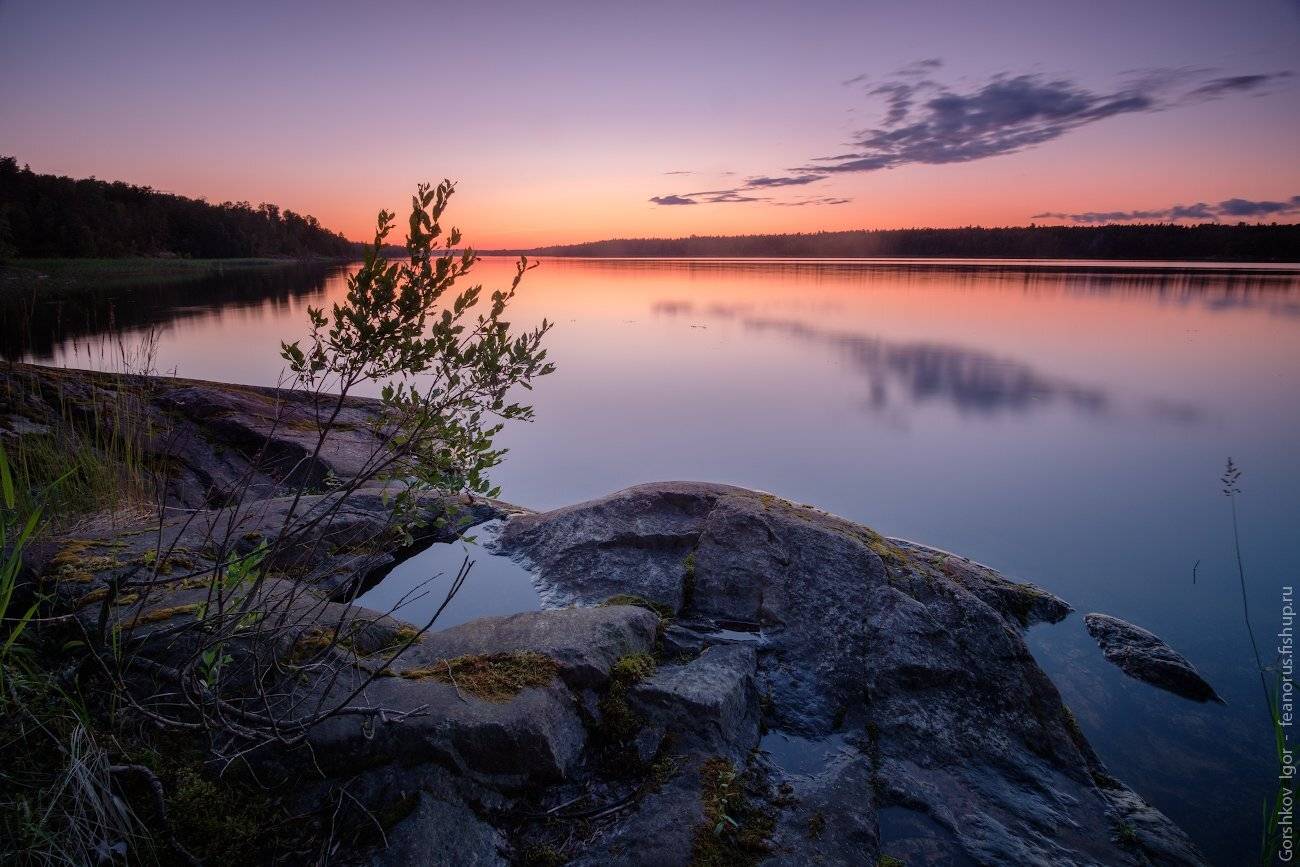 закат,лето,берег,ладога,озеро,россия,пейзаж,север,длинная выдержка,вода,отражения,камни, Горшков Игорь