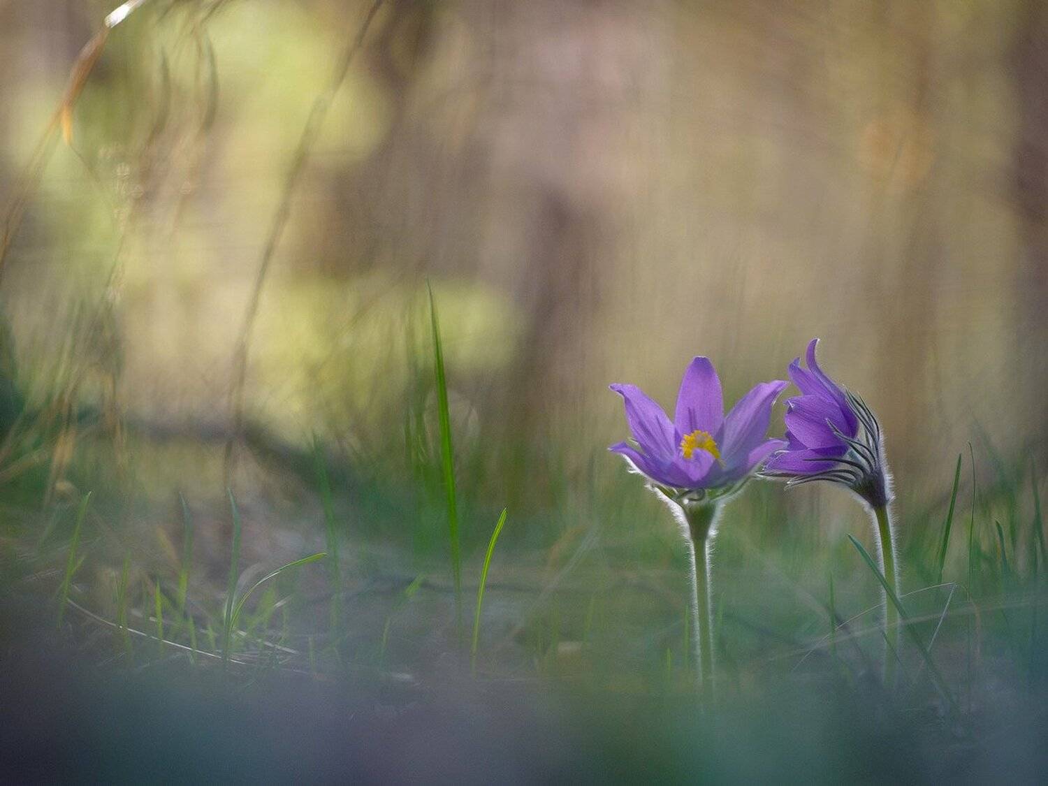 , Кузнецов Дмитрий