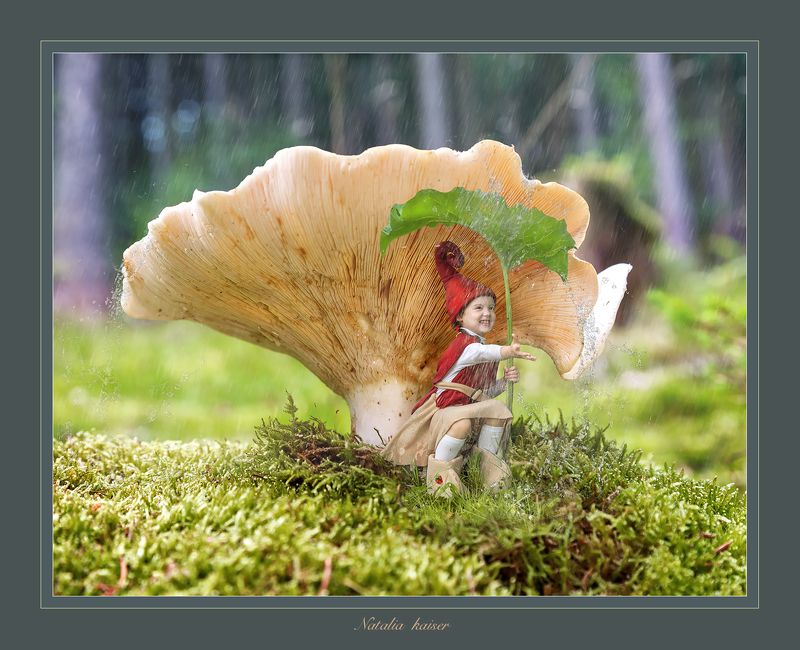 ” Сказки Тюрингского леса ...Гномик и летний дождь” фото превью