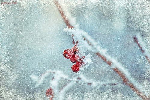 Зимняя сказка