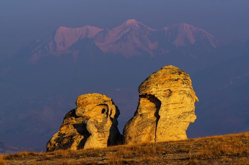 Окаменевшие