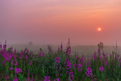 там за туманами ...