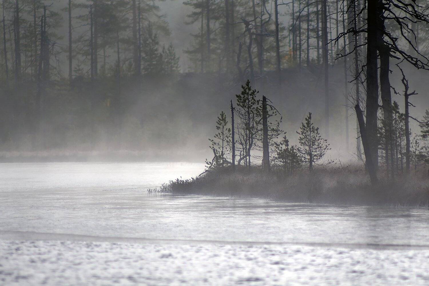 карелия, Виктор