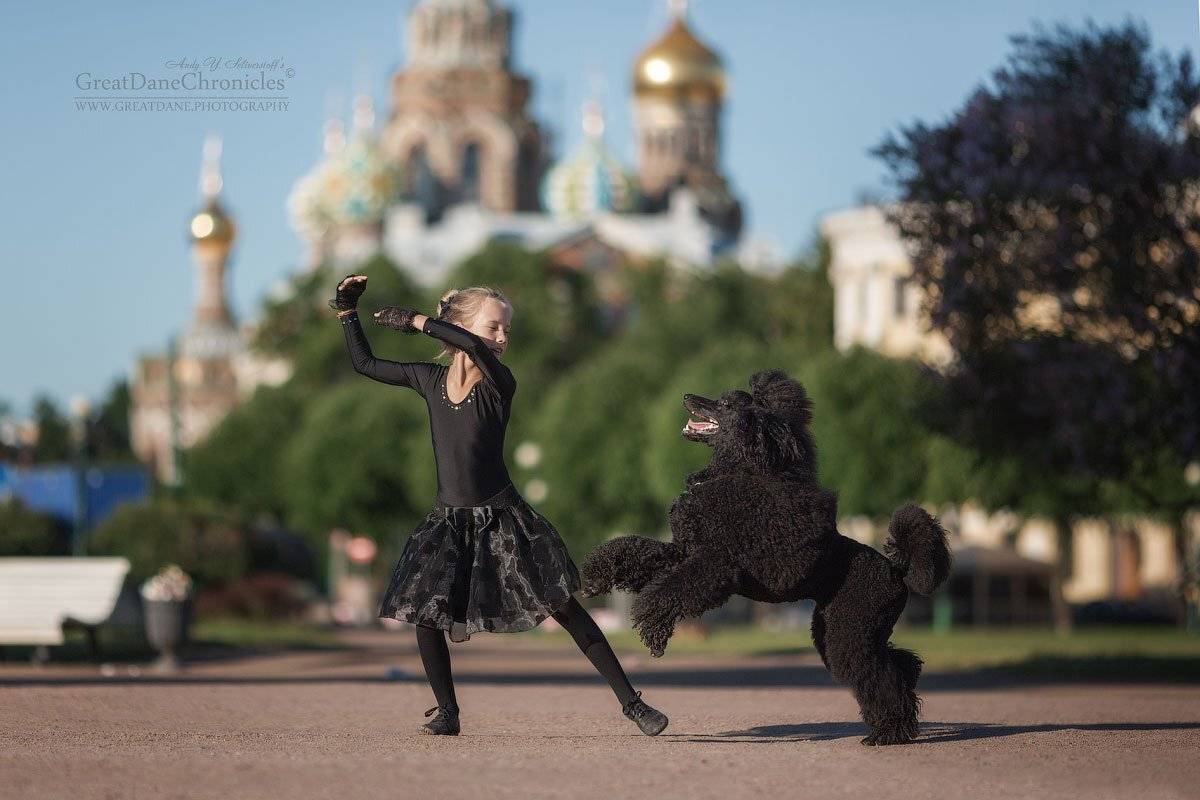 , Андрей Селиверстов