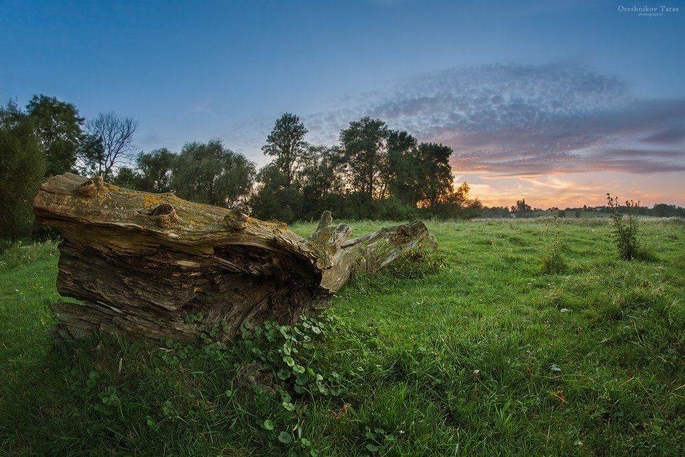 пейзаж,природа,закат,небо,поле,лето, Taras