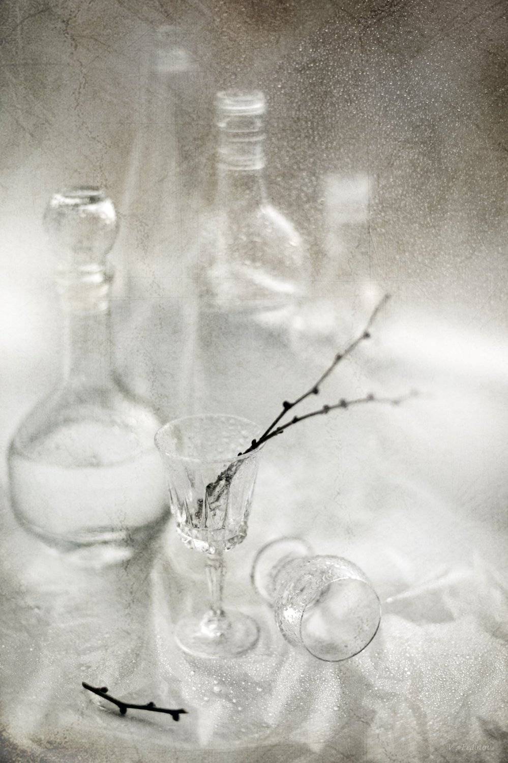 фото , цвет , натюрморт , бутылки , рюмка , стекло , ветка , светлый тон, Федотов Вадим(Vadius)