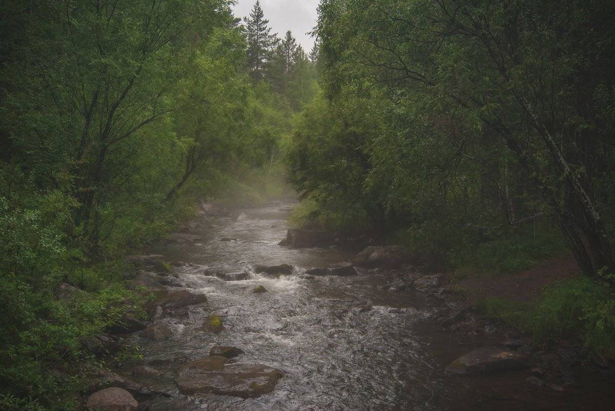 , Кроль-Илюков Илья