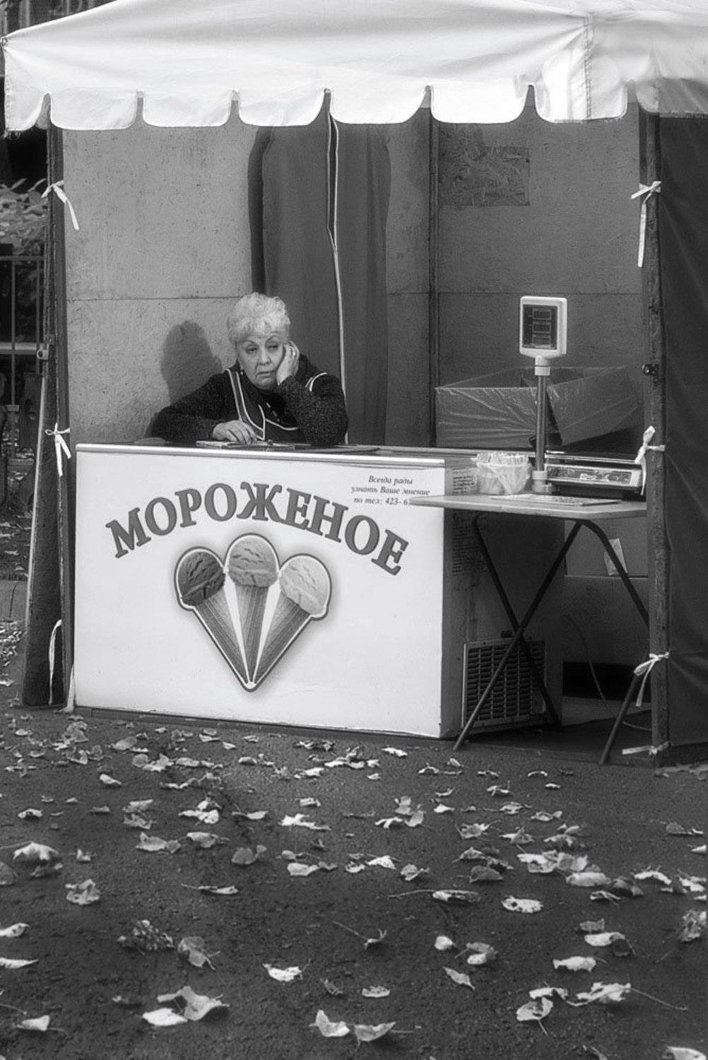 Осень, листья, мороженое, Лужавин Юрий