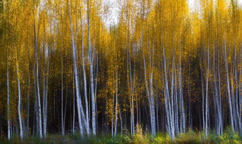 Осенний Урал* фото превью