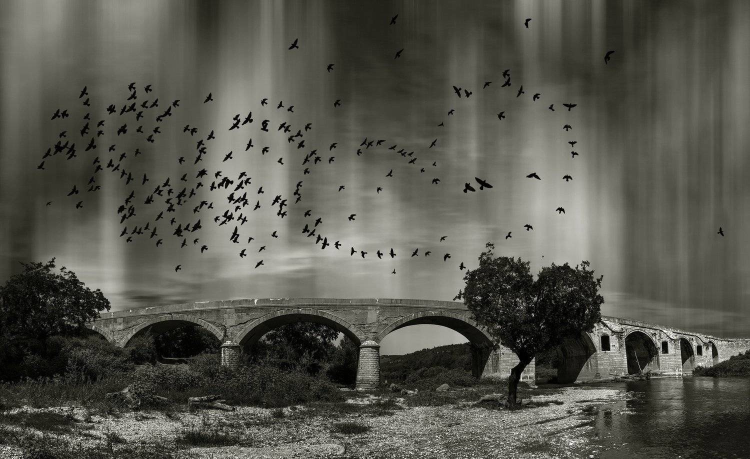 ceclii, Tsvetan Ganev