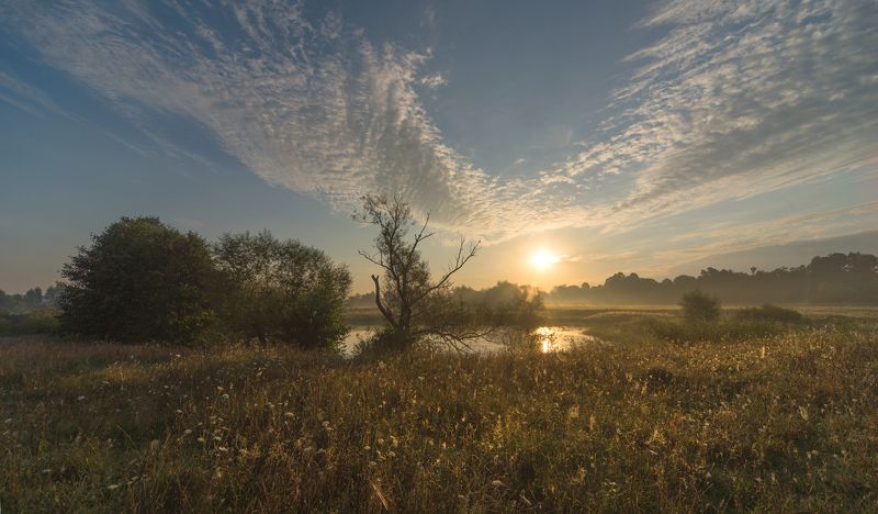 августовский рассвет.... фото превью