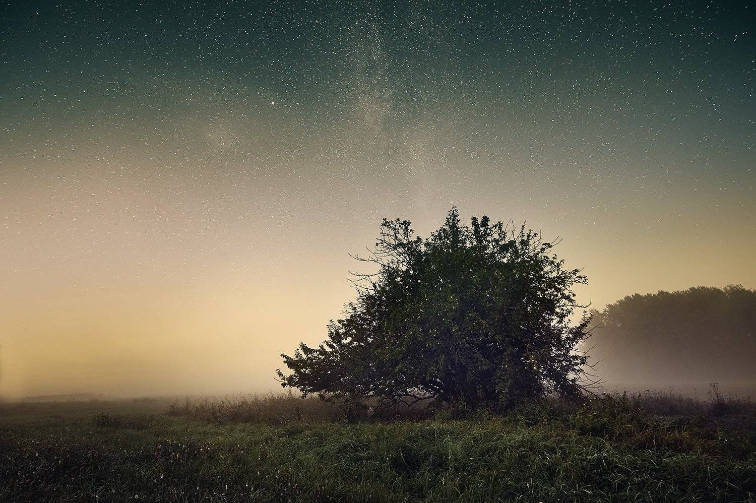 , Каревский Дмитрий