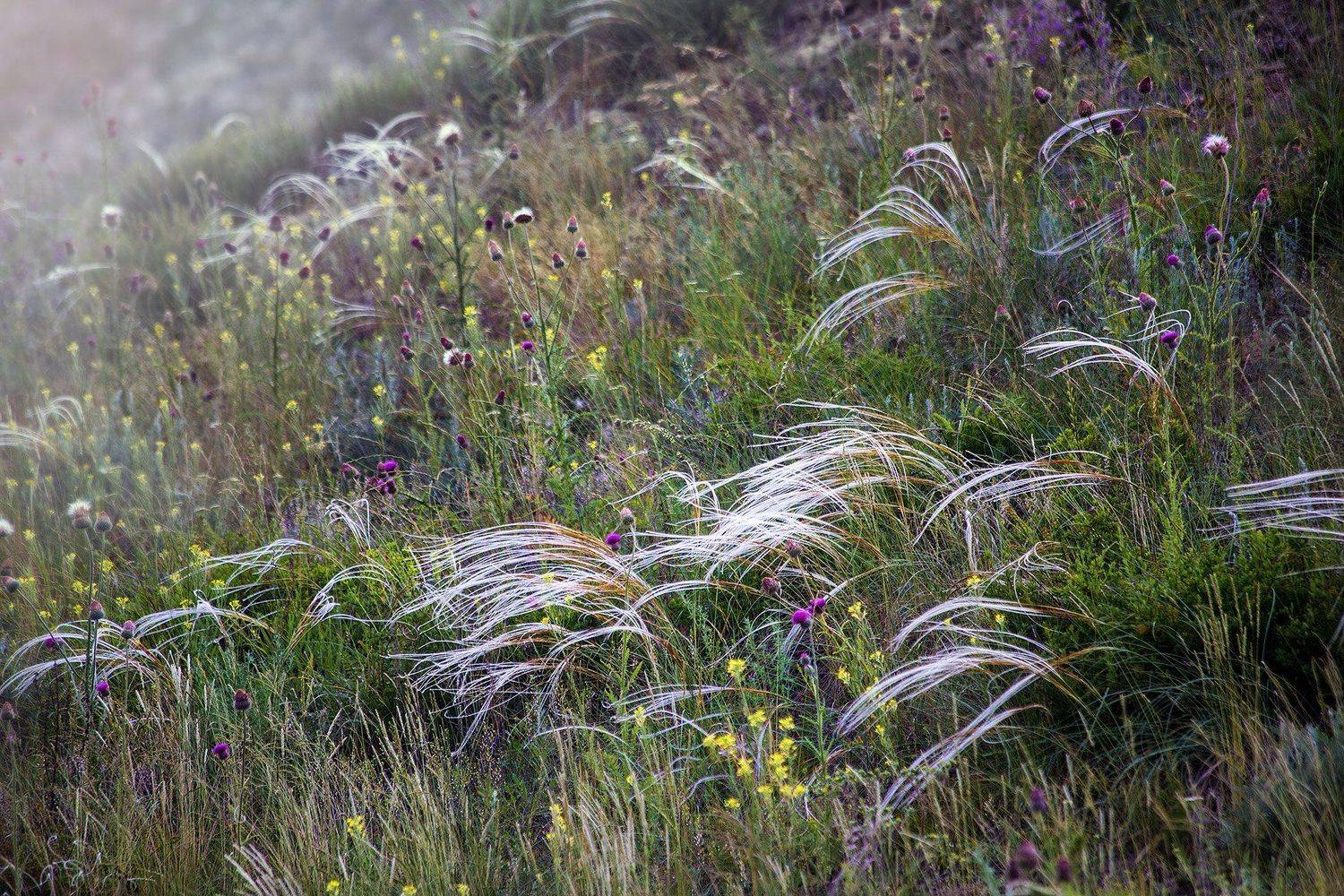 орск оренбургская обл. качурин новотроицк южный урал алтай алтайский край, Качурин Алексей