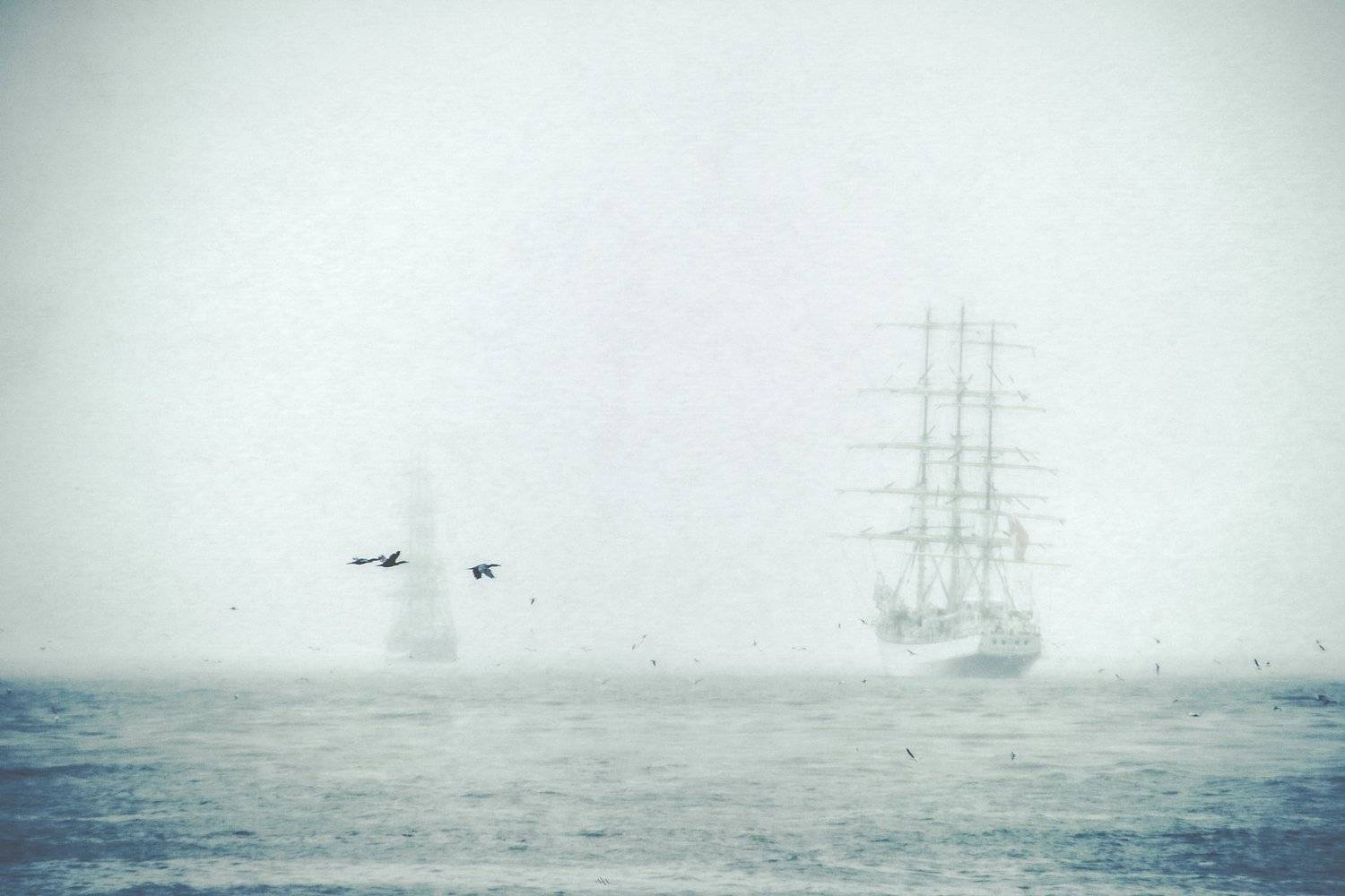 baltic sea, sailing ship, birds, fog, Руслан Болгов (Axe)