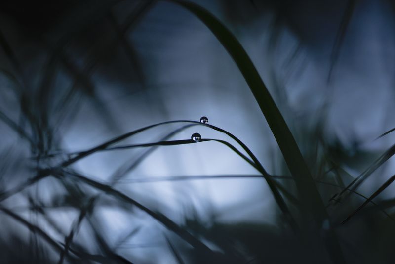 Остатки дождя фото превью