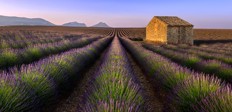 прованс, франция, provence Утро в Провансе фото превью