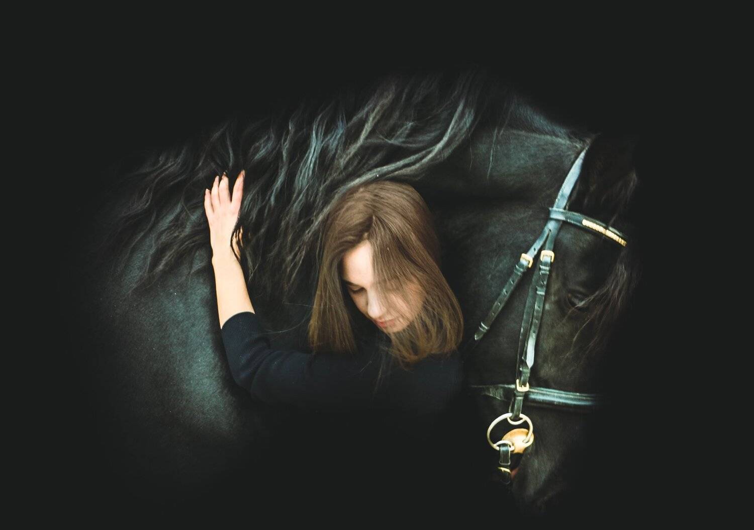 animals, horses, girl, woman, people, Miane Da