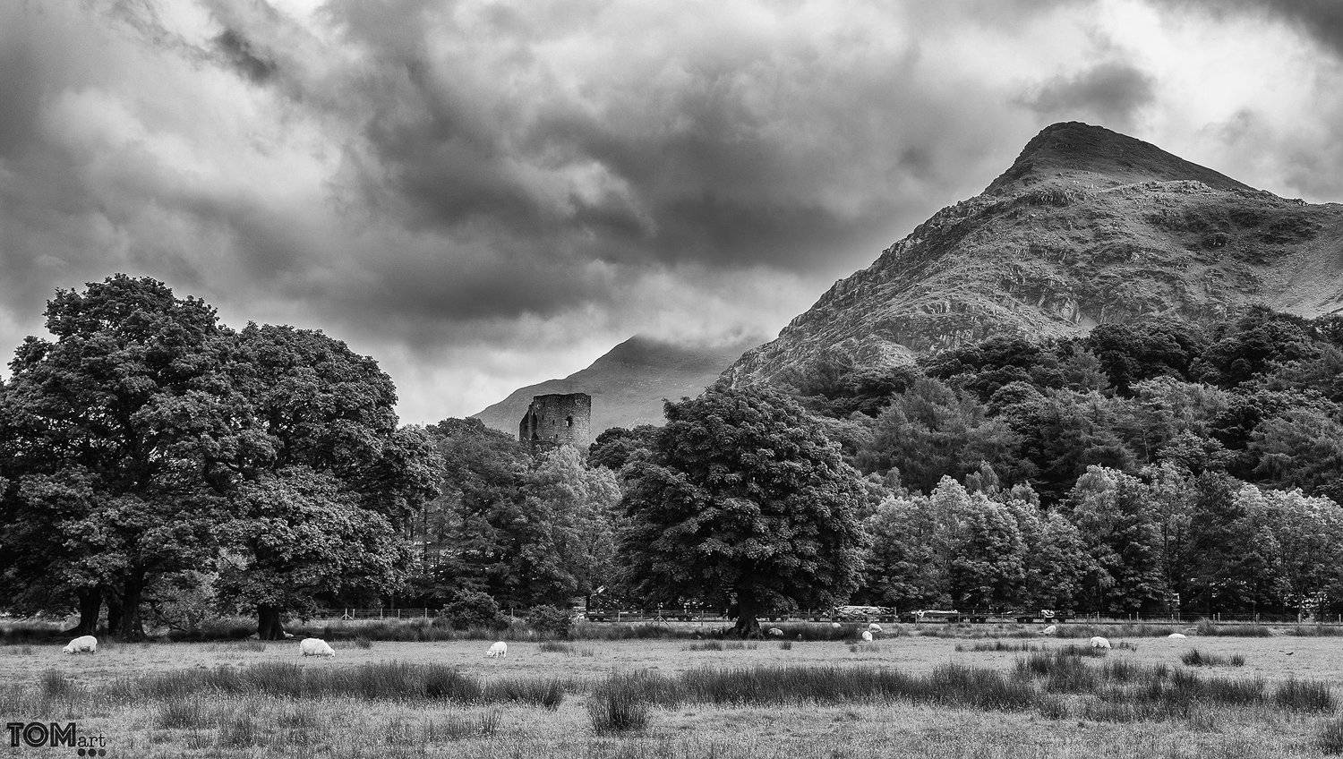 sheep wales landscape photography monochrome scenery view beautiful uk sky clouds , Tomasz Łyszczek