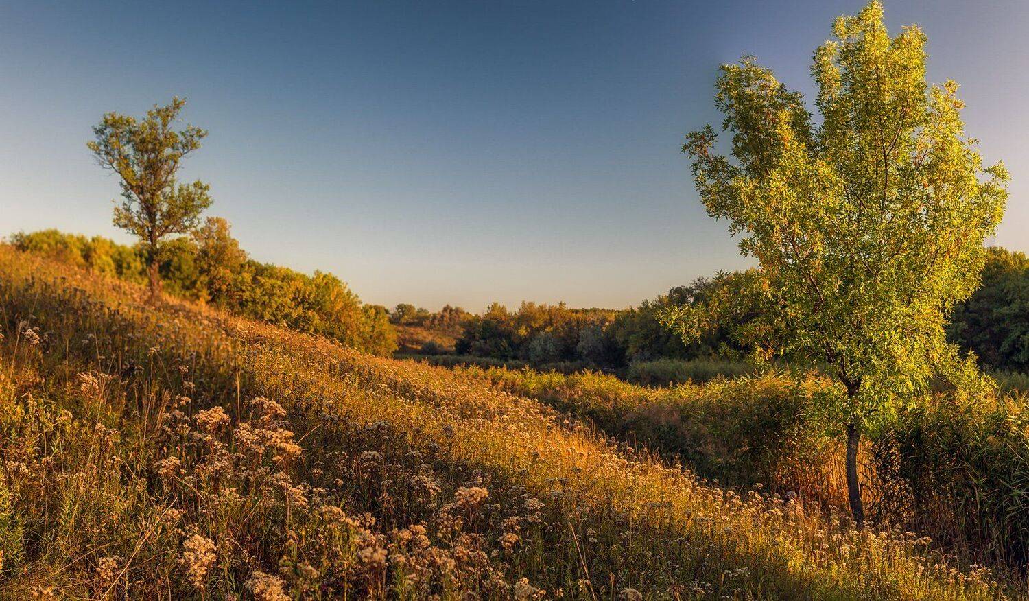 , Игорь Мелекесцев