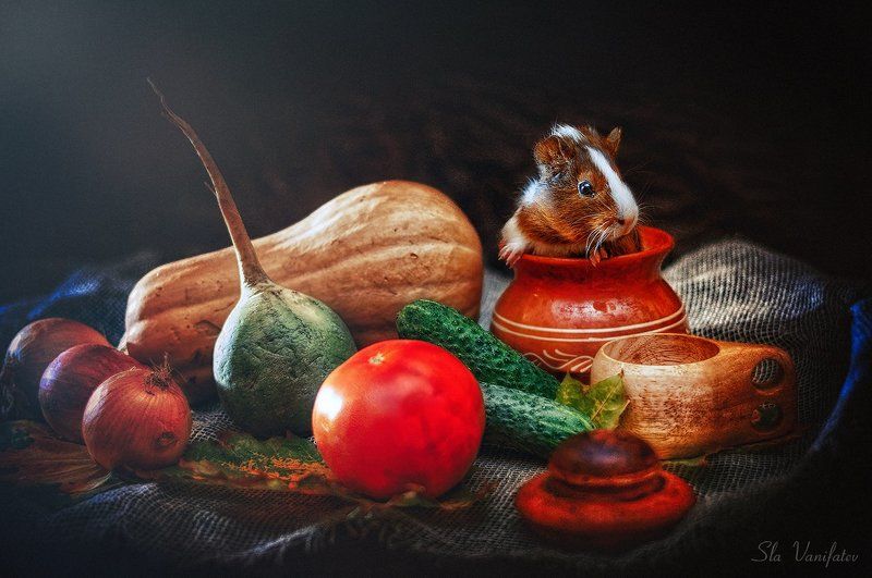 Осенний Натюр... фото превью