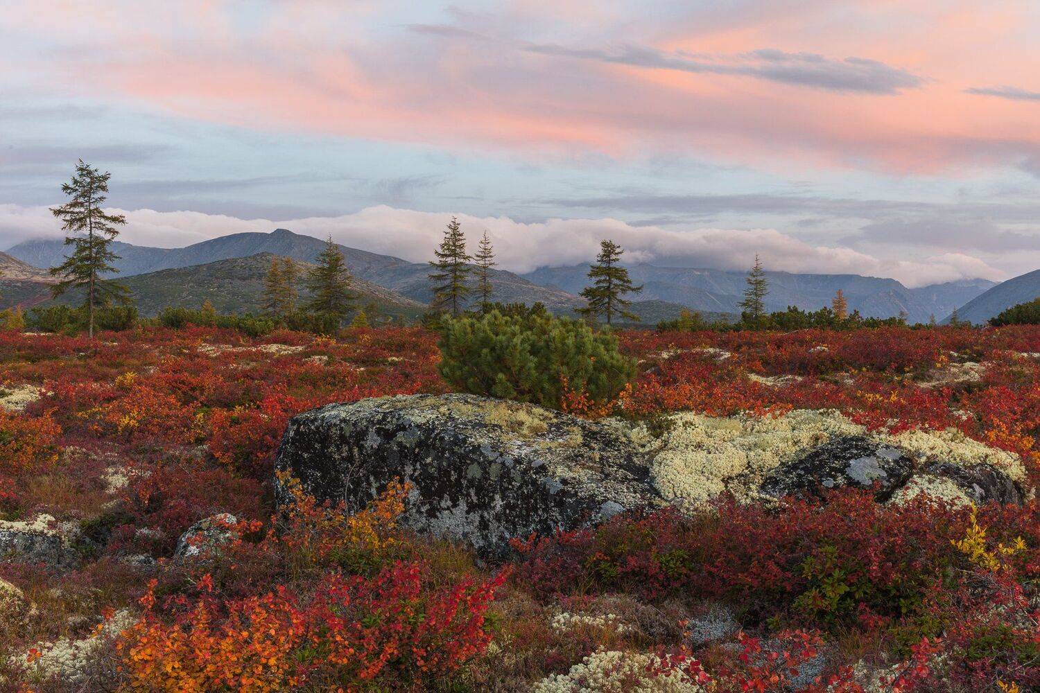 колыма, россия, магаданская, джека лондона, осень, закат, Марина Маликова