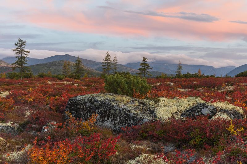 колыма, россия, магаданская, джека лондона, осень, закат Все это Колыма фото превью