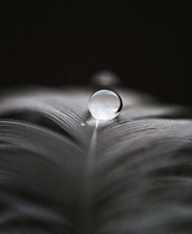 nature, macro. nikon, burbble macro* фото превью