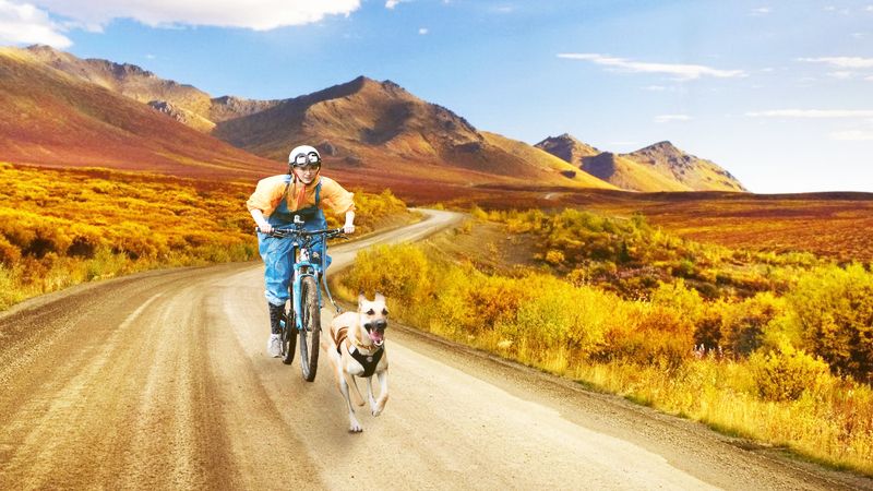 По дороге  фото превью