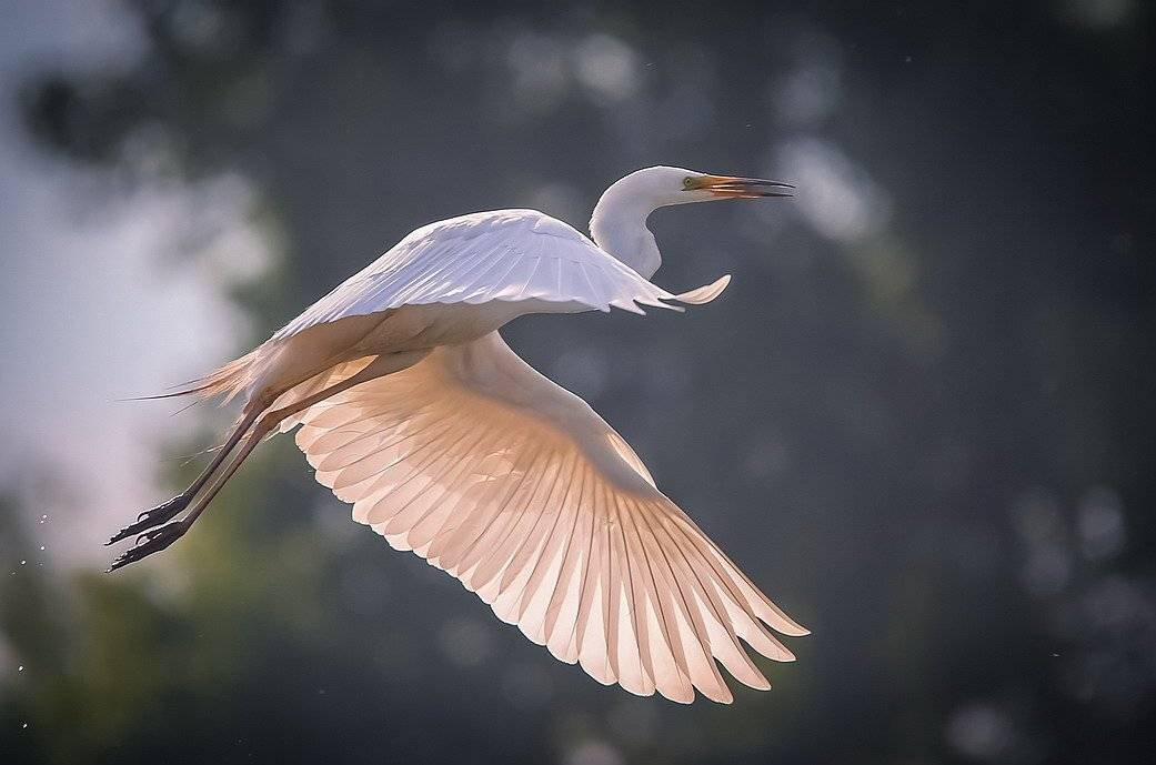 , Вячеслав Мищенко