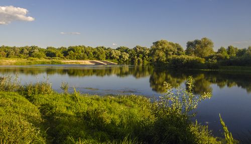 Вечерняя Десна