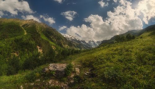 На горных лугах Шхельды