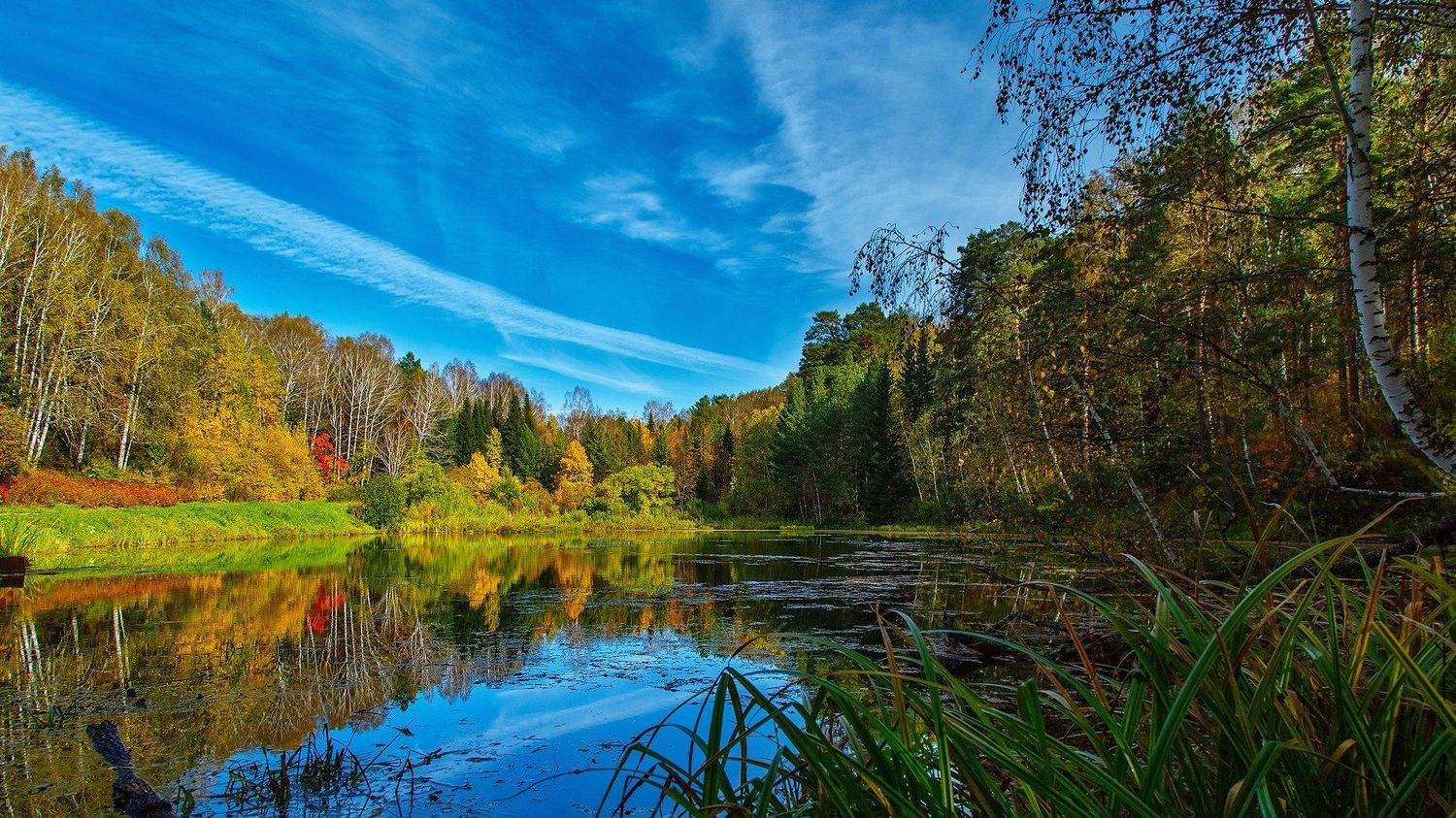 , Иващин Александр